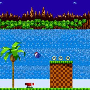 Sonic The Hedgehog juego foto 2